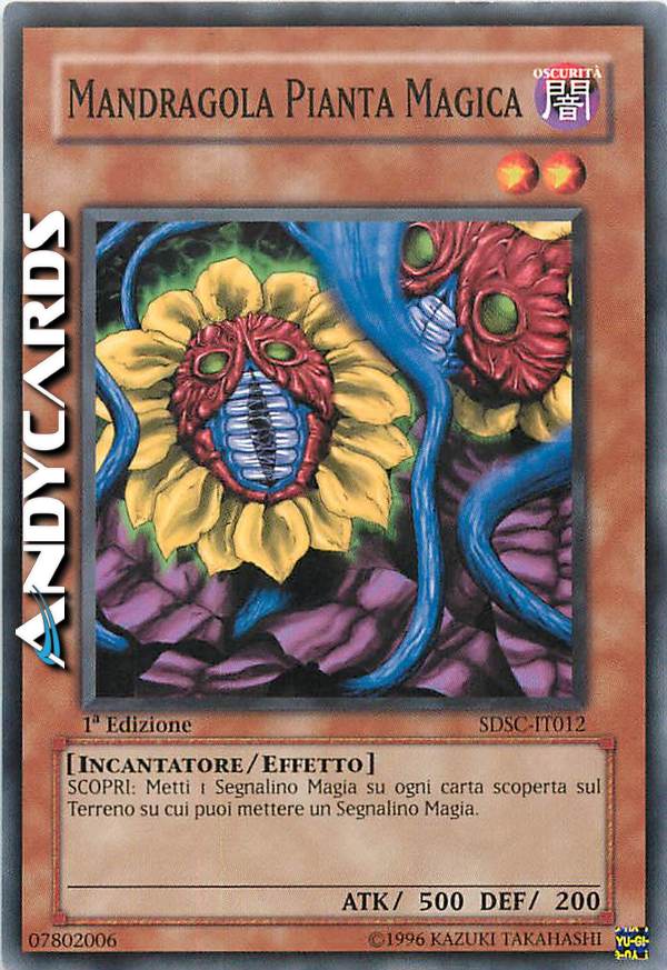 Clicca per ulteriori dettagli di - MANDRAGOLA PIANTA MAGICA - MANDRAGOLA PIANTA MAGICA