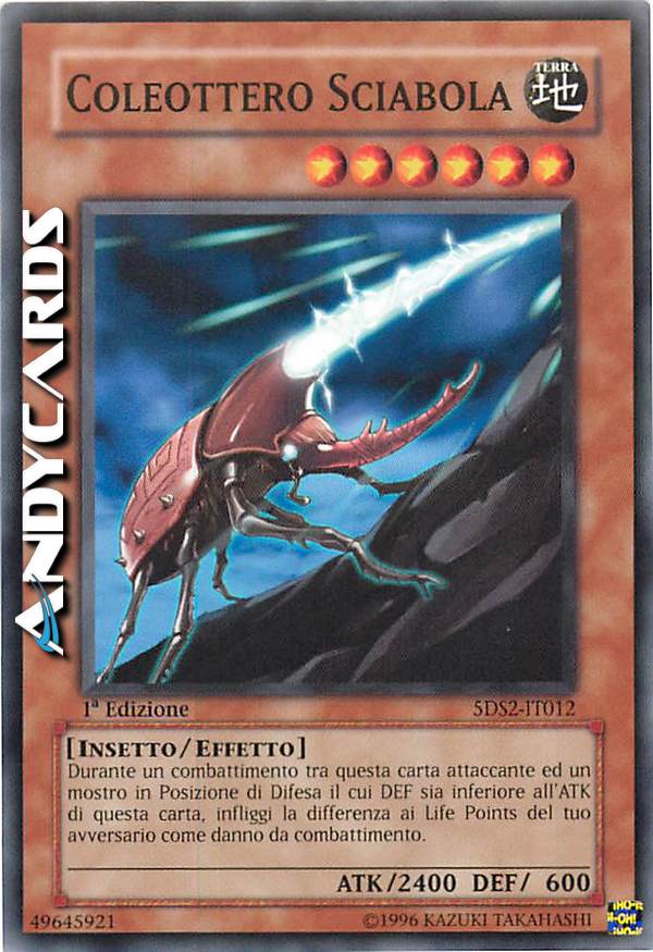 Clicca per ulteriori dettagli di - COLEOTTERO SCIABOLA - COLEOTTERO SCIABOLA