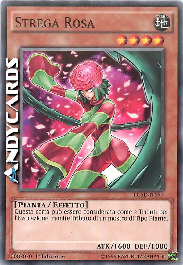 Clicca per ulteriori dettagli di - STREGA ROSA - STREGA ROSA