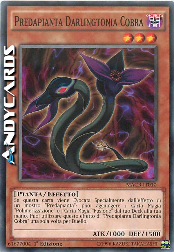 Clicca per ulteriori dettagli di - PREDAPIANTA DARLINGTONIA COBRA - PREDAPIANTA DARLINGTONIA COBRA