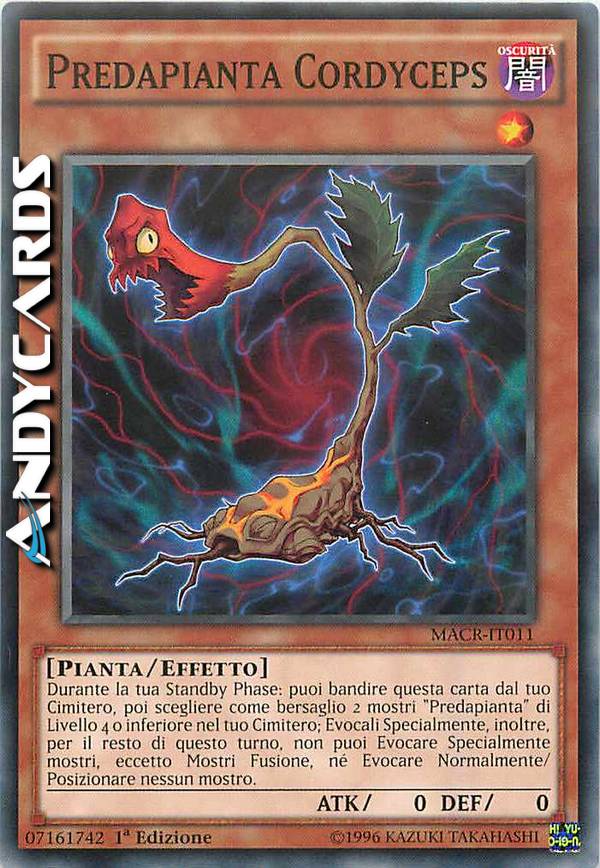 Clicca per ulteriori dettagli di - PREDAPIANTA CORDYCEPS - PREDAPIANTA CORDYCEPS