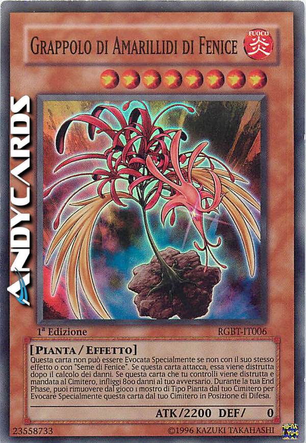 Clicca per ulteriori dettagli di - GRAPPOLO DI AMARILLIDI DI FENICE - GRAPPOLO DI AMARILLIDI DI FENICE